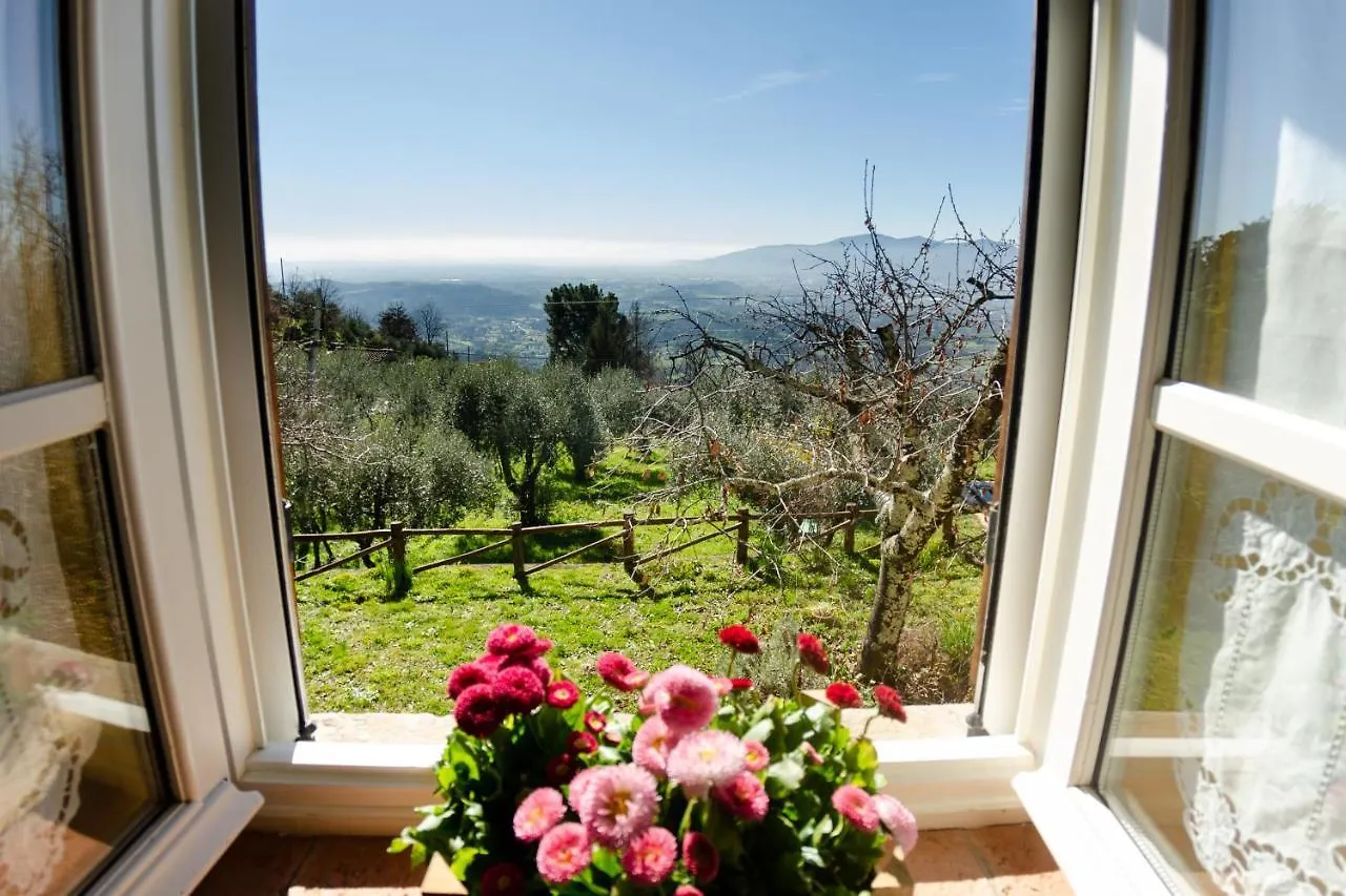 Holiday home La Casa Del Sole Villa Petrognano