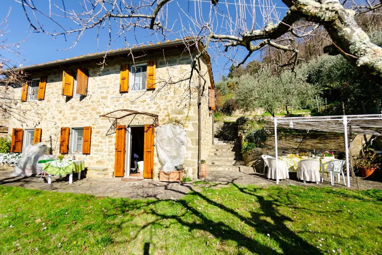 La Casa Del Sole Villa Petrognano