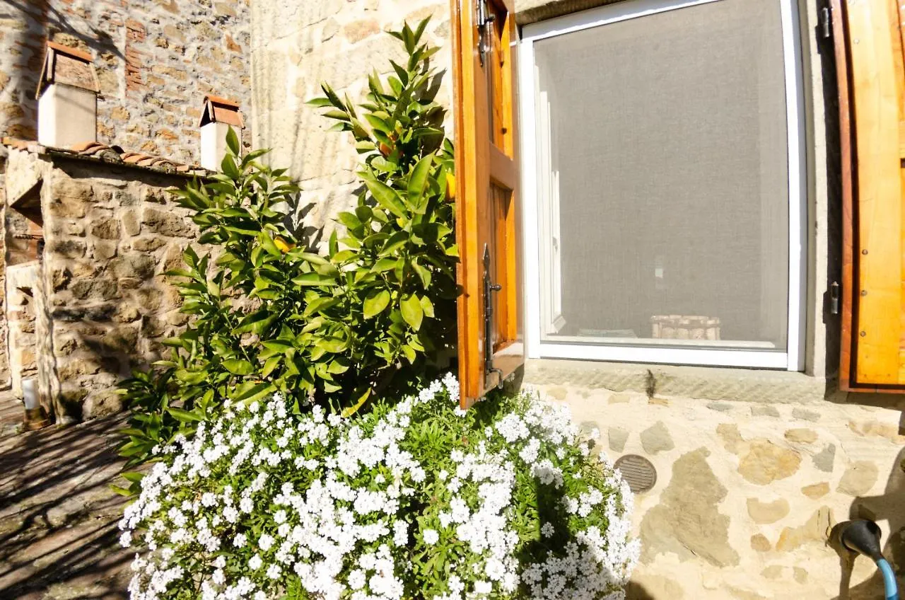 Vila La Casa Del Sole Petrognano  Petrognano (Lucca)